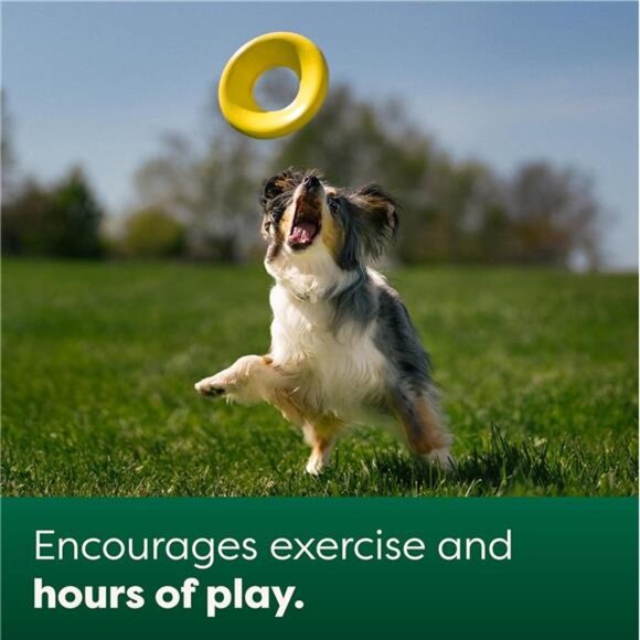 Flying Disc Toy for Dogs and Puppies, Interactive Dog Toys, Saucer Floats - Picture 4 of 7